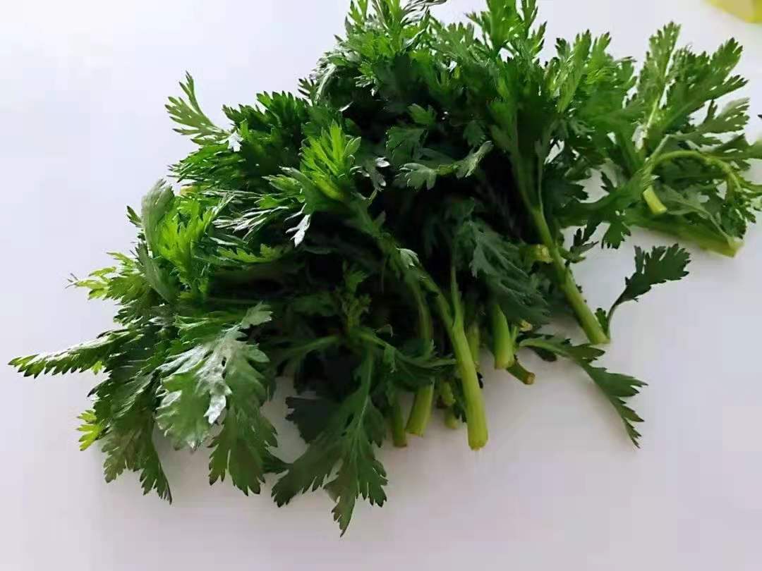 微信圖片_20210121094114.jpg 微信圖片_20210121094114.jpg