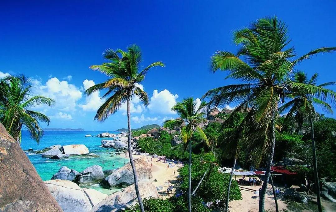 微信圖片_20220216092808.jpg 微信圖片_20220216092808.jpg